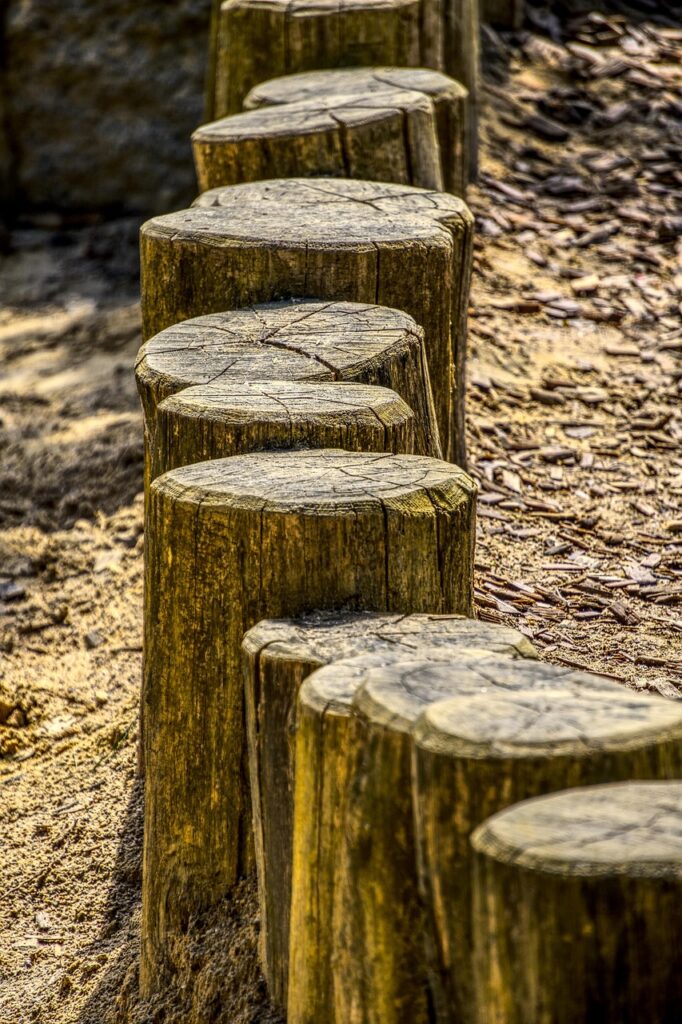 wood trunks, nature, post, limitation, mark, outline, framed, delimitation, limit, log, tree, tree trunk, structure, tree stump, stake, hdr, high dynamic range, contrast